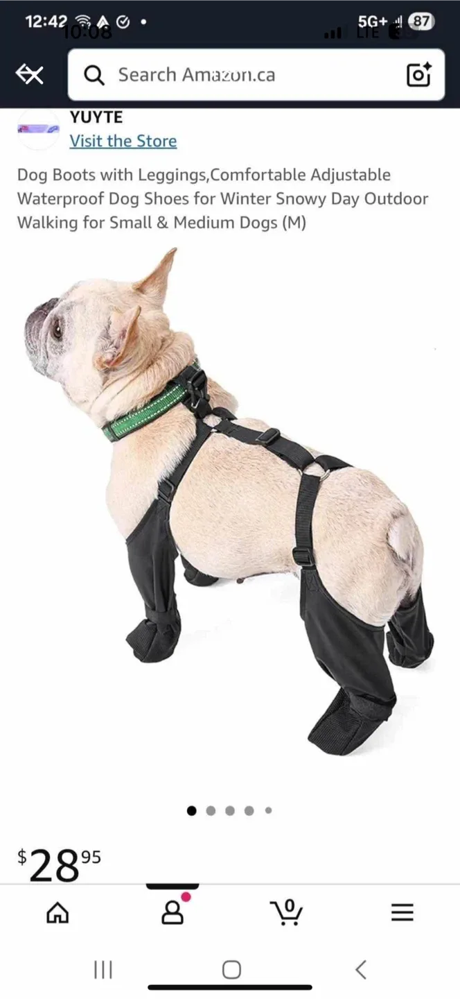 YUYTE Dog Boots with Leggings (M)