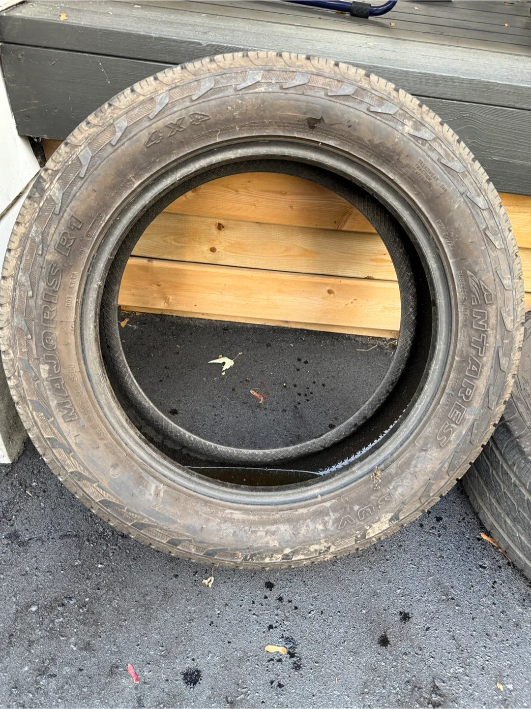 Antares Majoris R1 Tires image indicator(2)