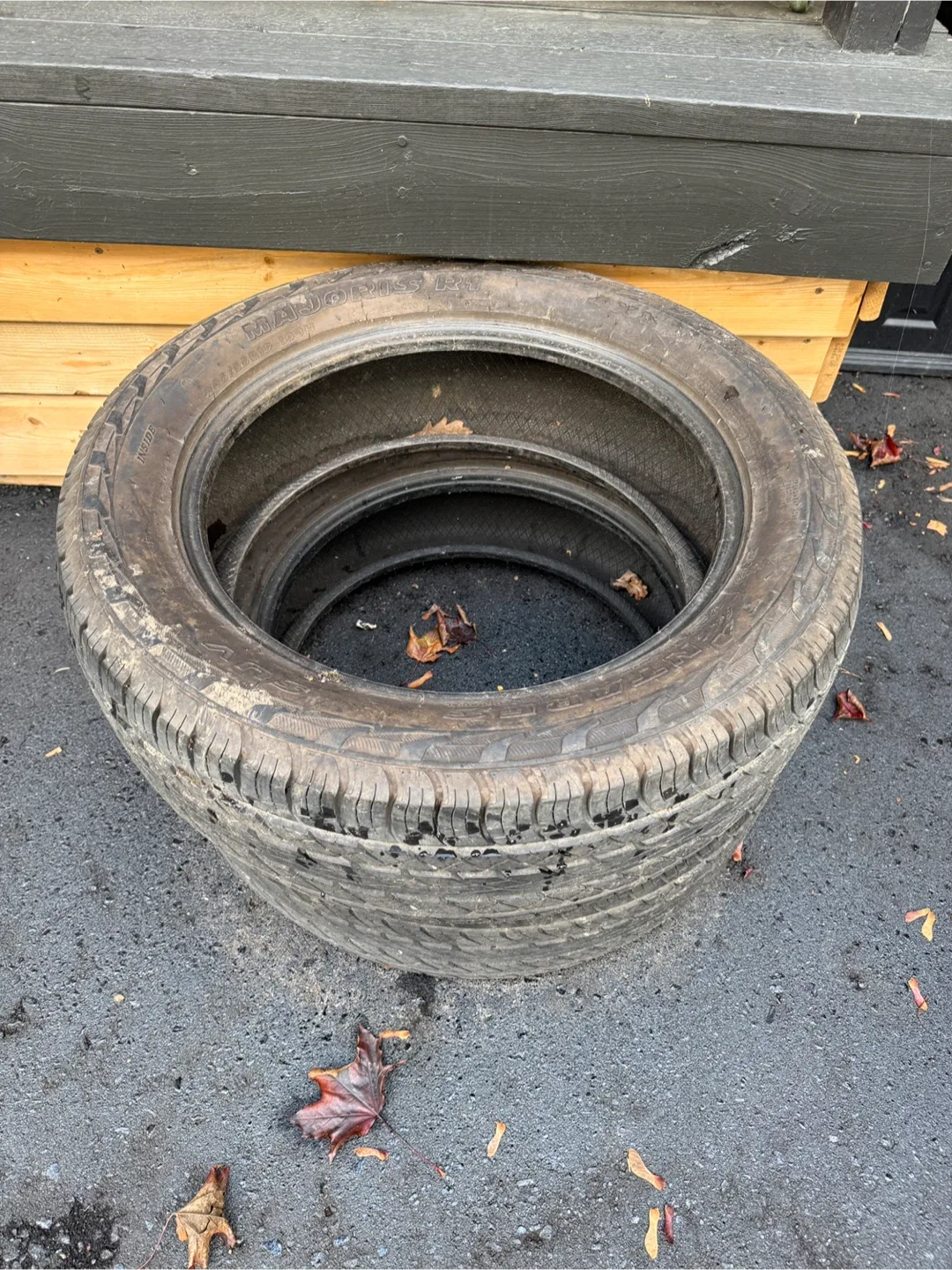 Antares Majoris R1 Tires image indicator(3)