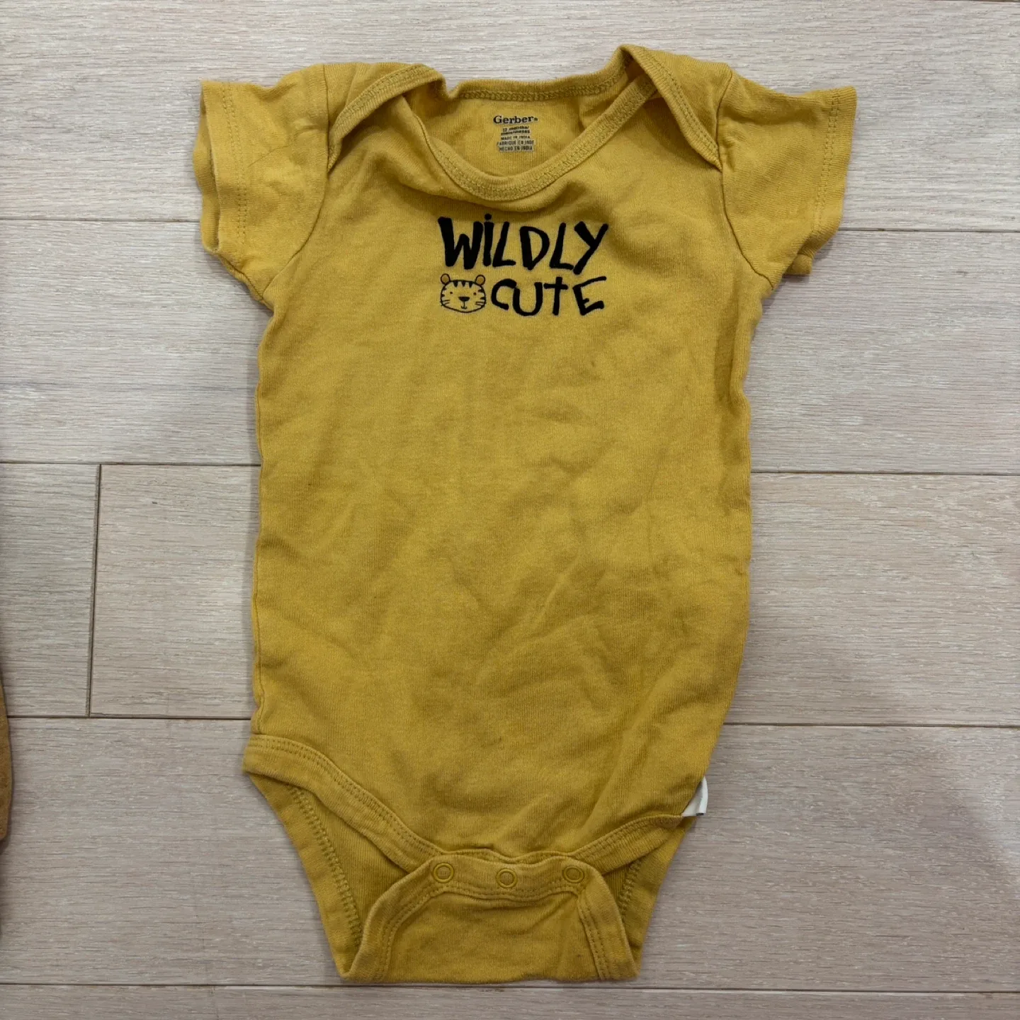 Baby Clothes Bundle 6-12M: Carters, H&M, Gooche Baby image indicator(6)