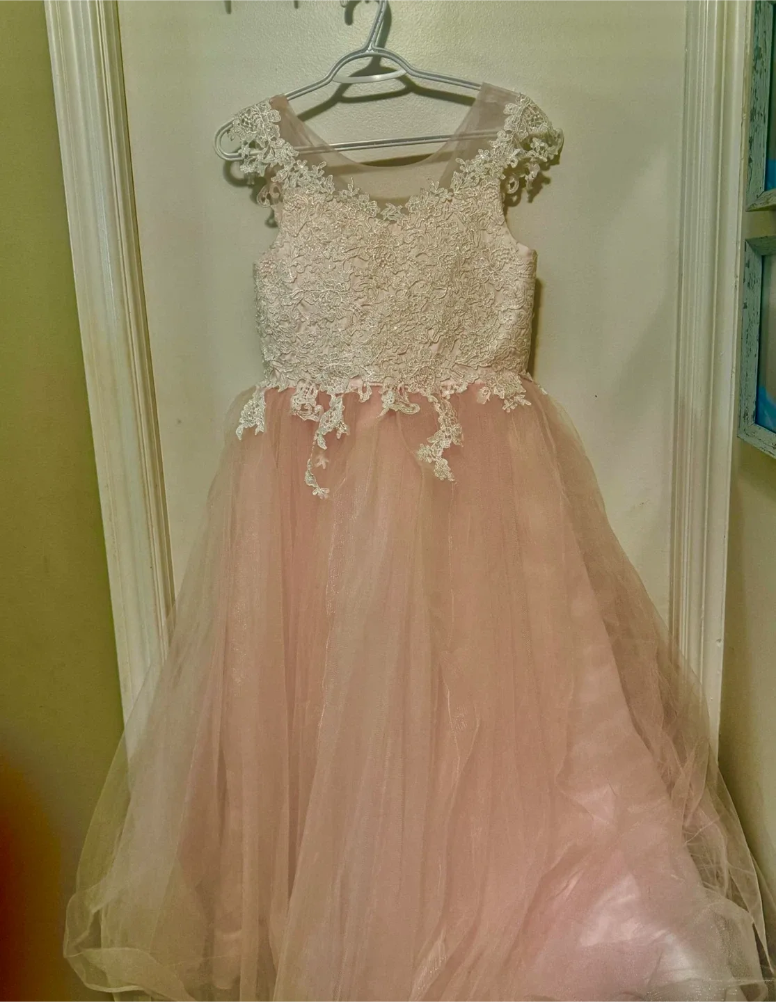 Pink Tulle Dress with Lace Detail