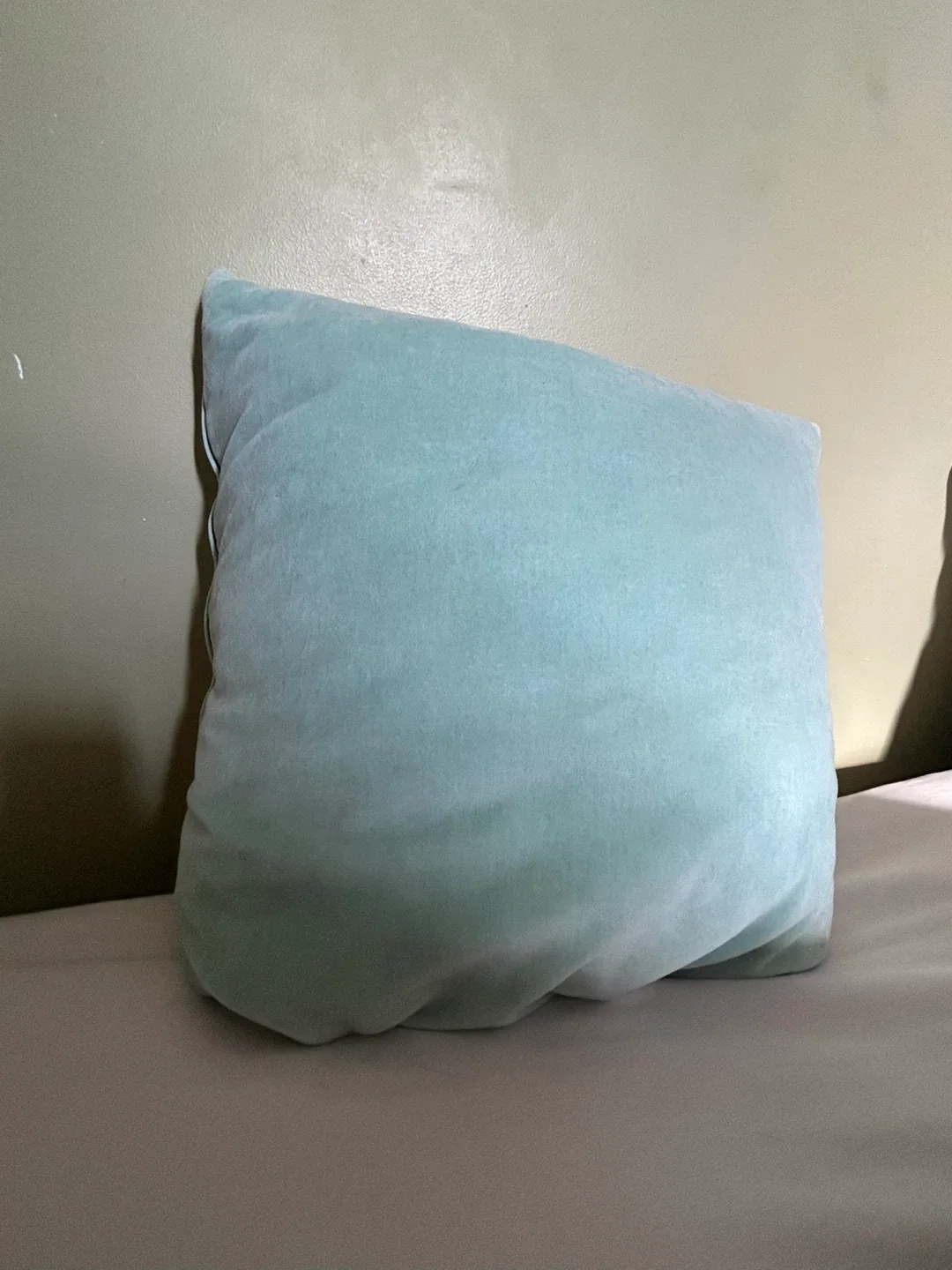 Light Blue Decorative Pillow thumbnail