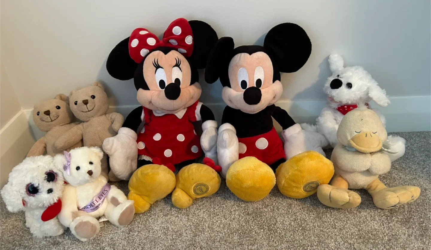 Assorted Purses, Wallets, Accessories, Toys, and more image indicator(8)