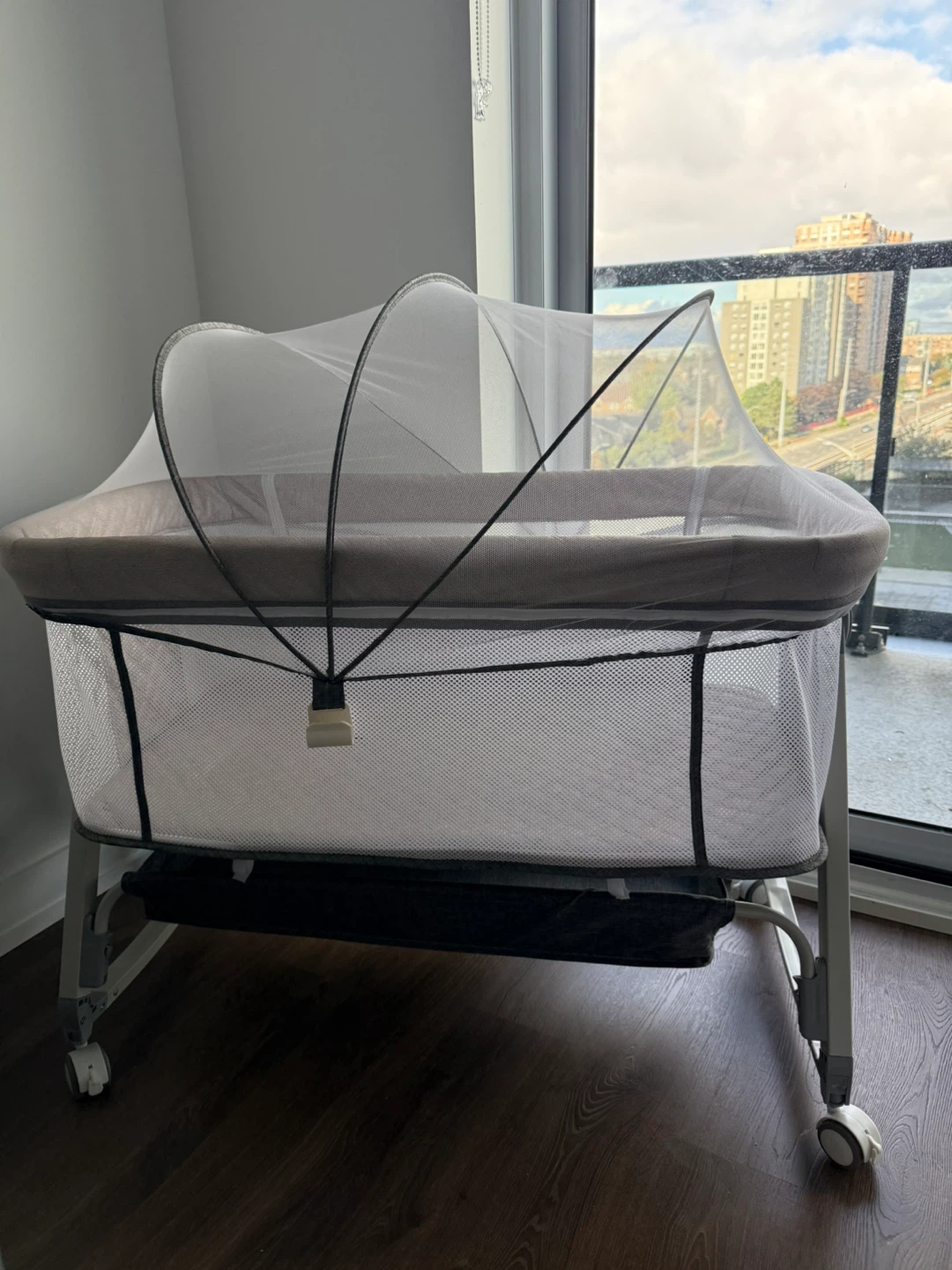 Baby Bassinet with Baby Lounger