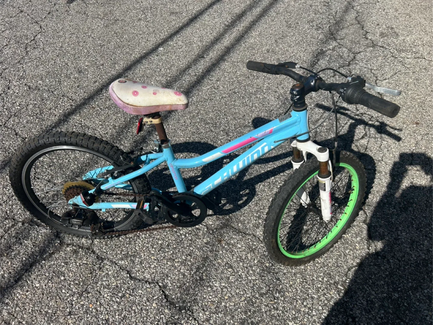 Schwinn 20-inch Girl's Bike image indicator(2)