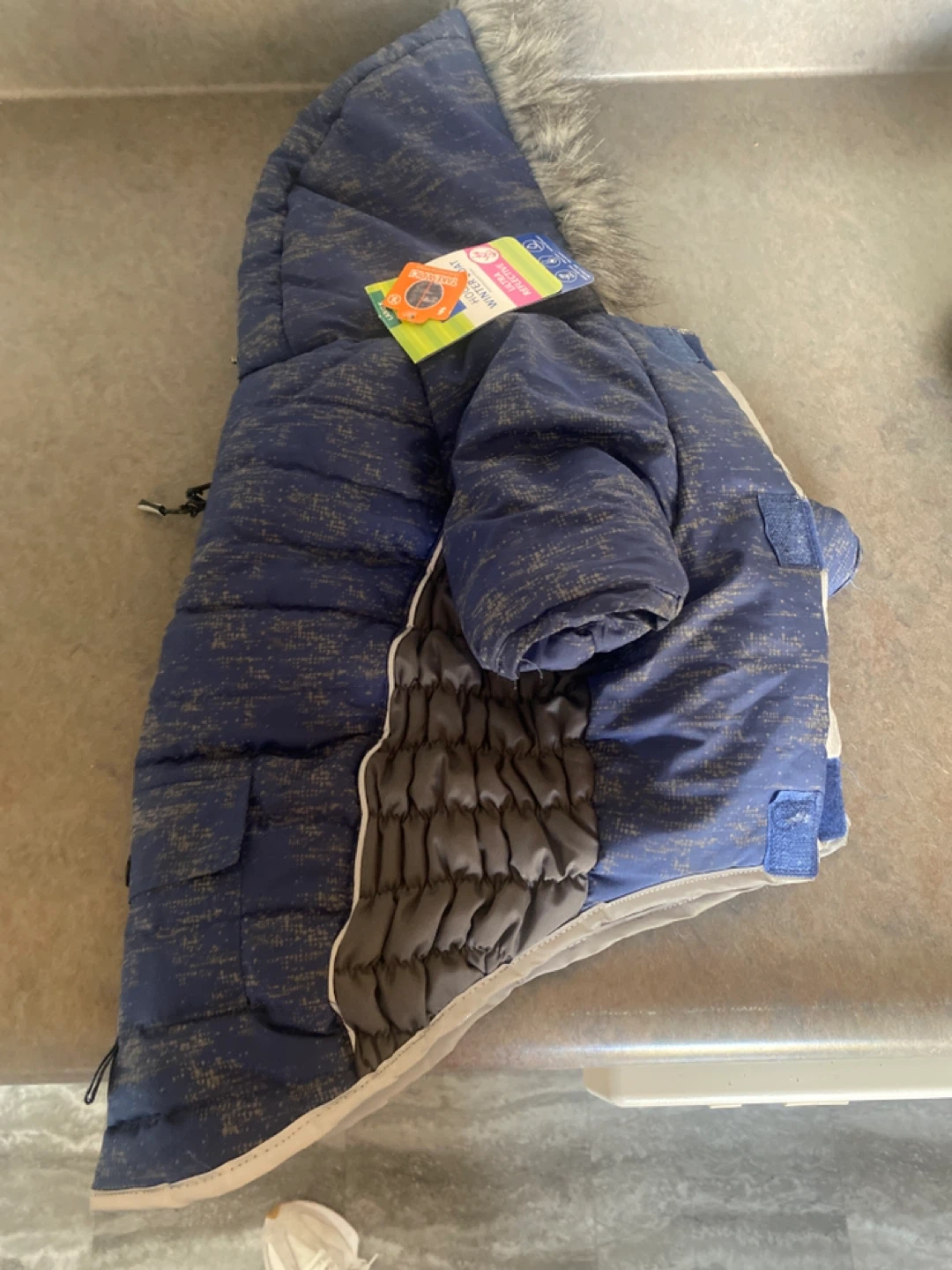 Padded Winter Dog Coat - Large
