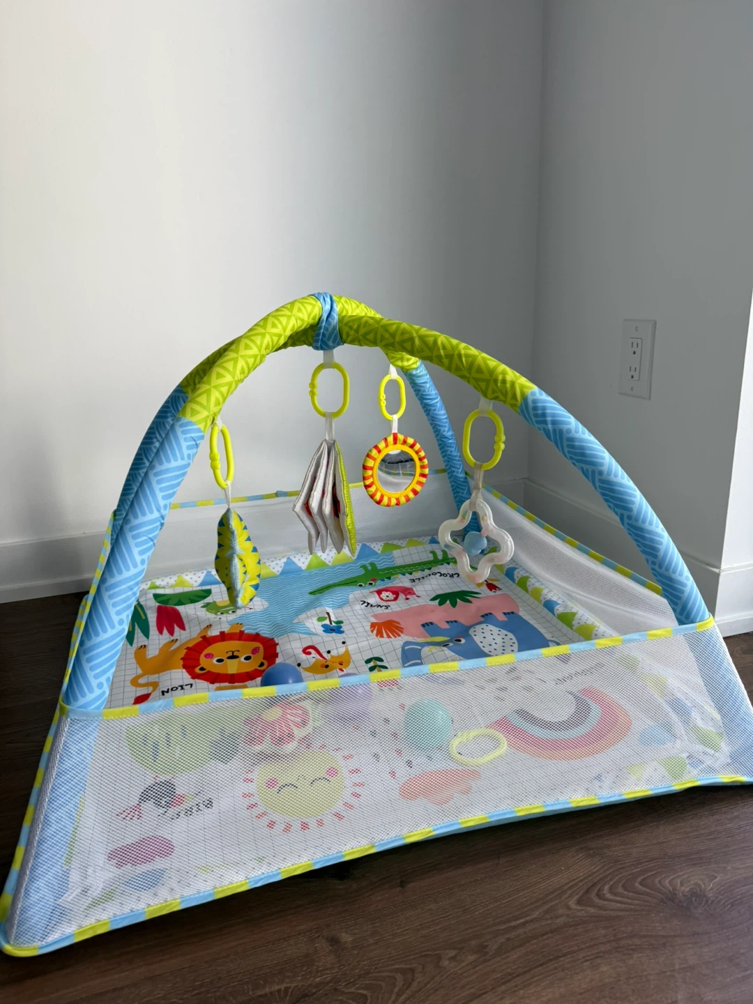 Baby Activity Gym Play Mat - photo 2