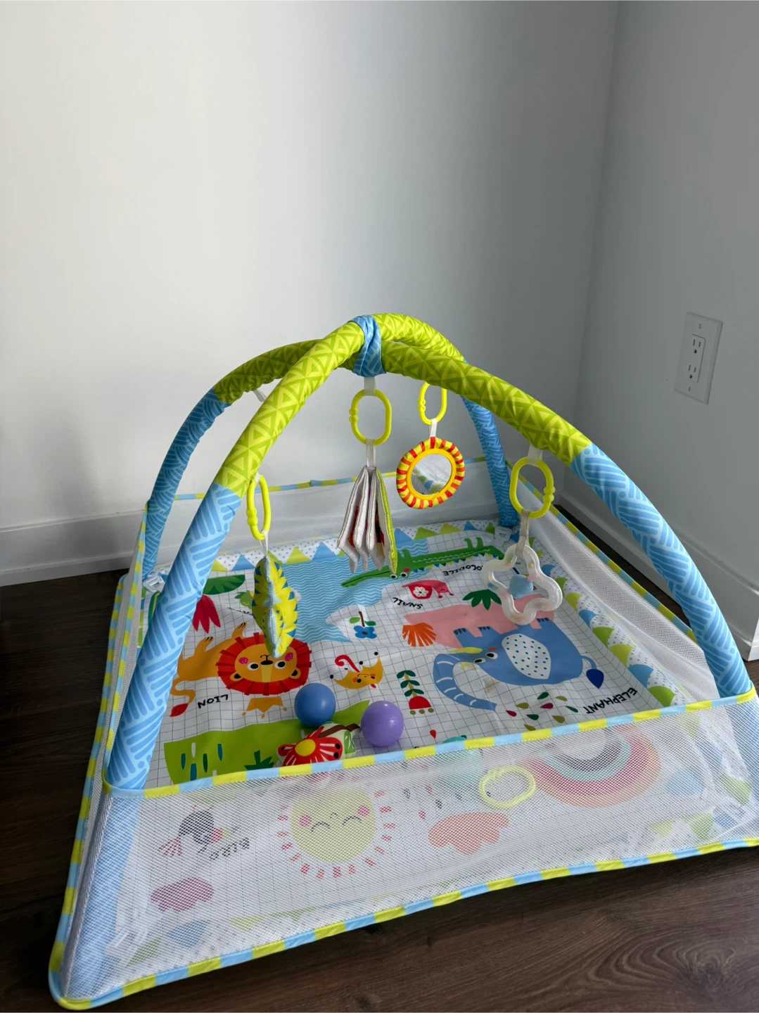 Baby Activity Gym Play Mat