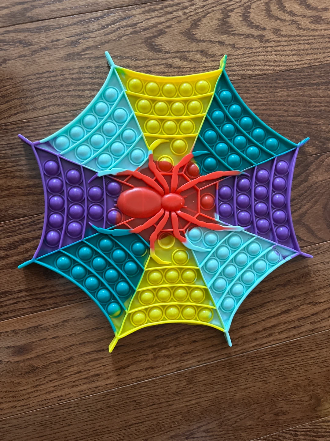 Spider Web Pop It Fidget Toy