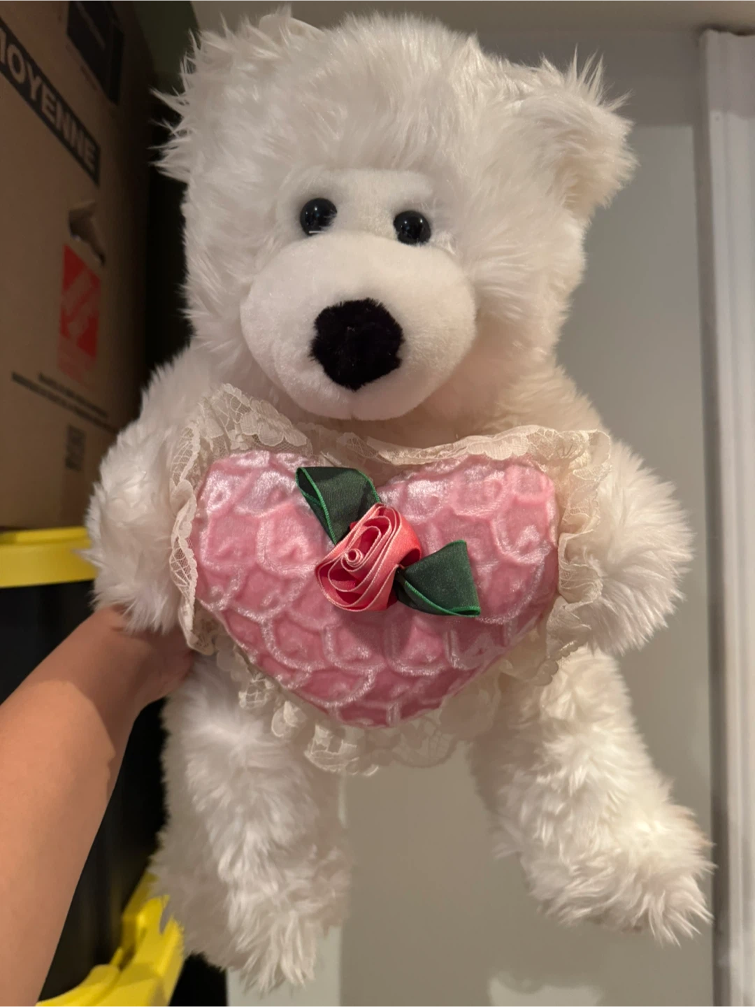 White Plush Teddy Bear with Heart
