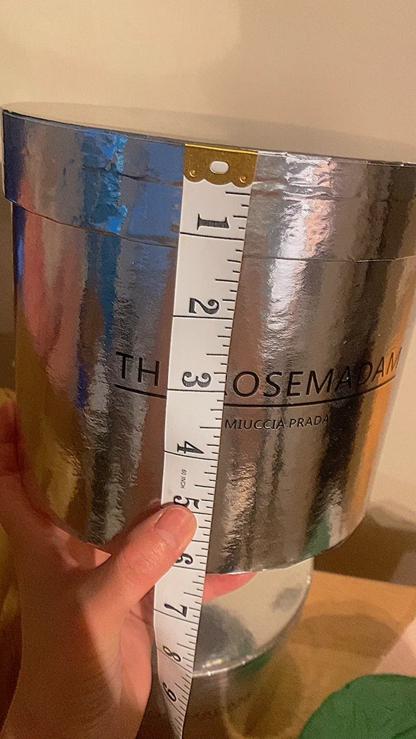 The Rose Madam Miuccia Prada Silver Box image indicator(2)