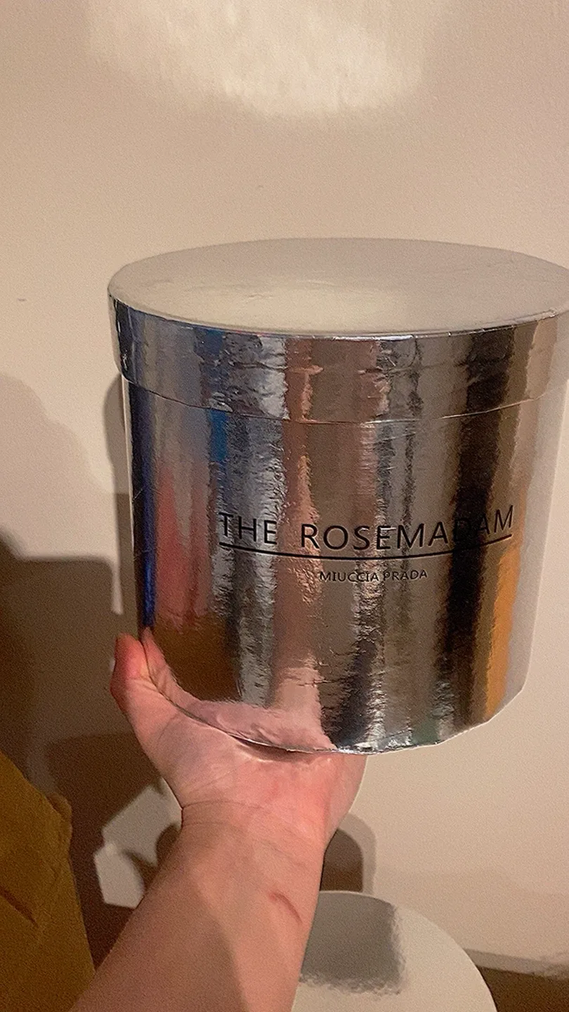 The Rose Madam Miuccia Prada Silver Box image indicator(6)