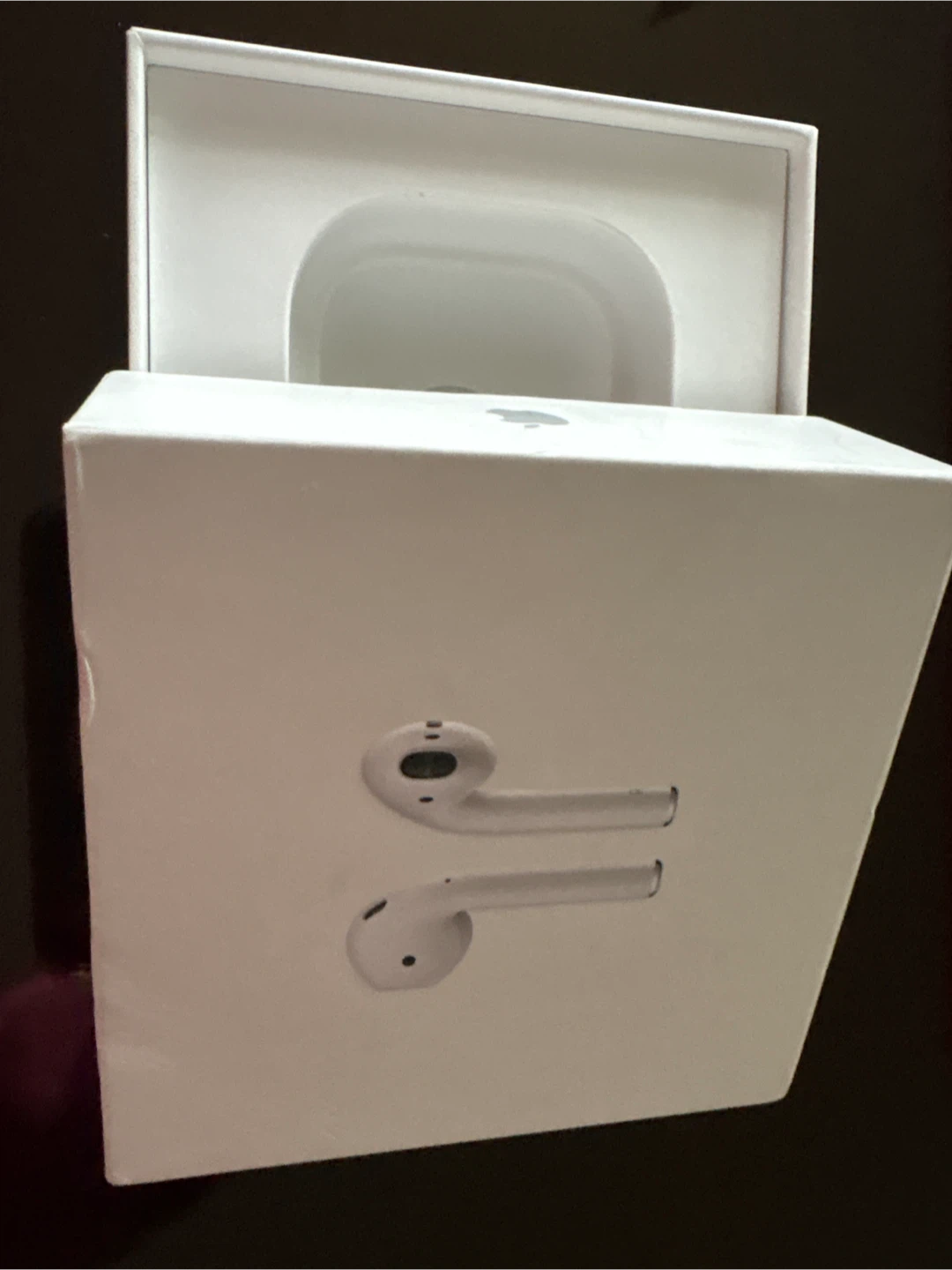 Empty Apple AirPods Case