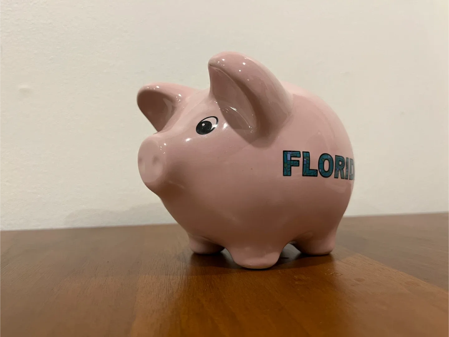 Pink Piggy Bank