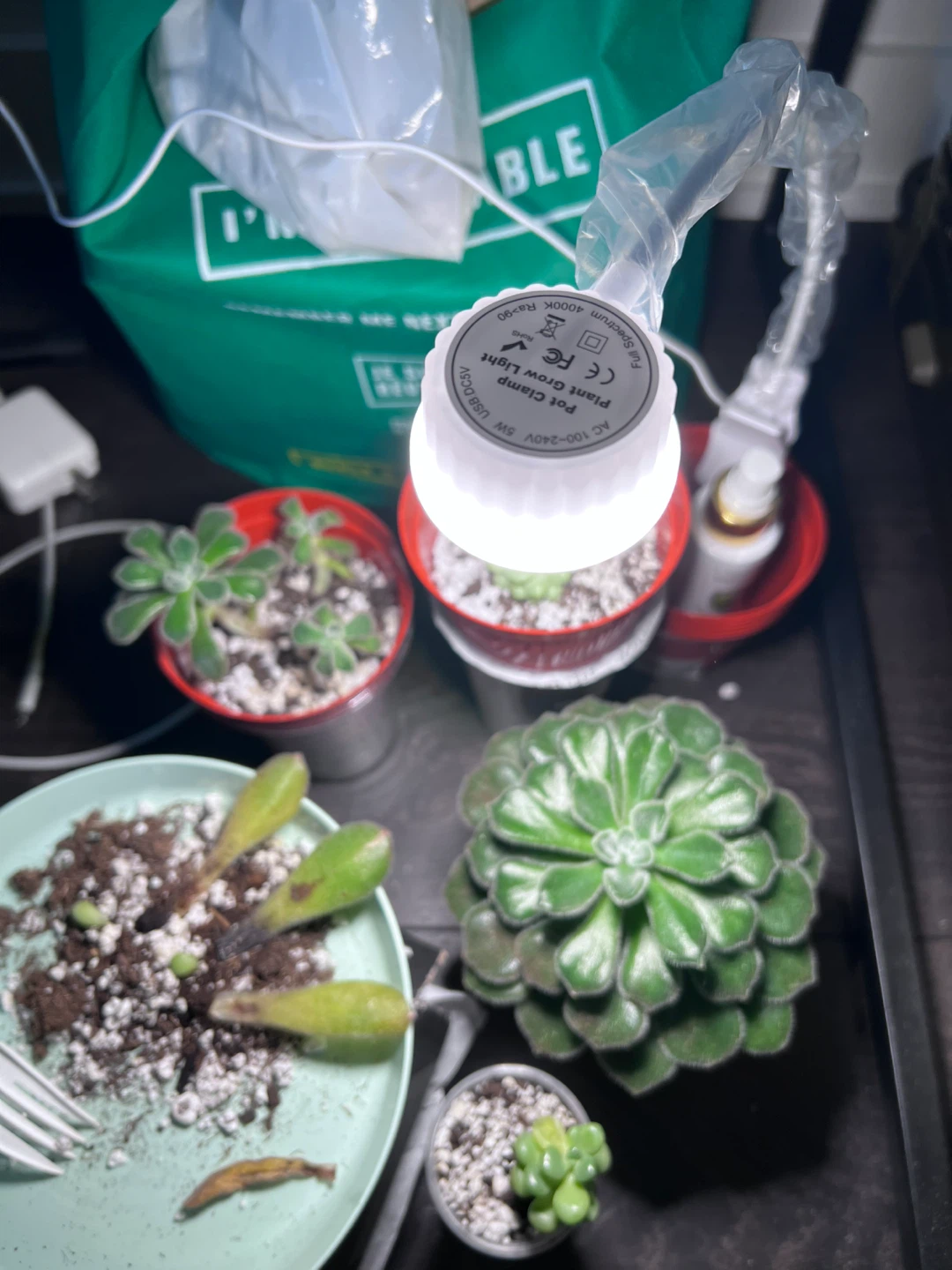 Pot Clamp Plant Grow Light - photo 2