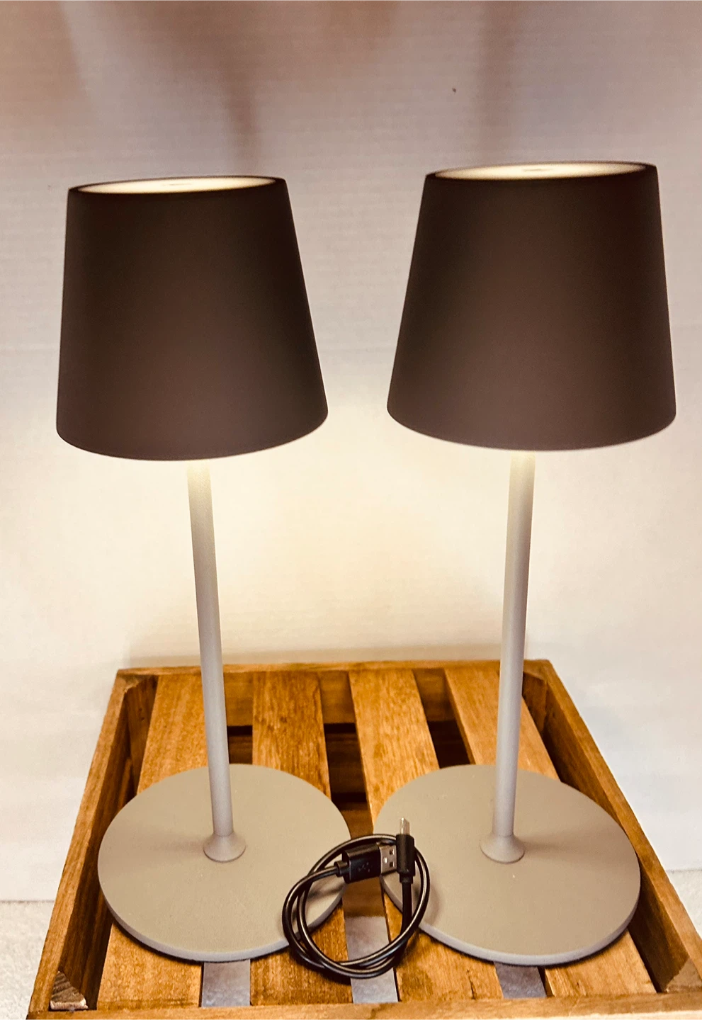 Set of 2 Gray Cordless Table Lamps - photo 2