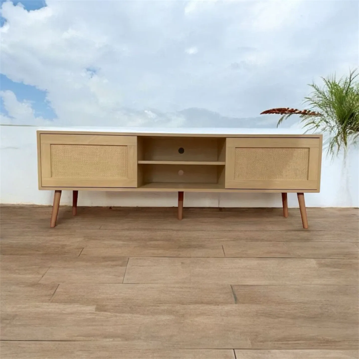 Wooden TV Stand with Rattan Doors image indicator(2)