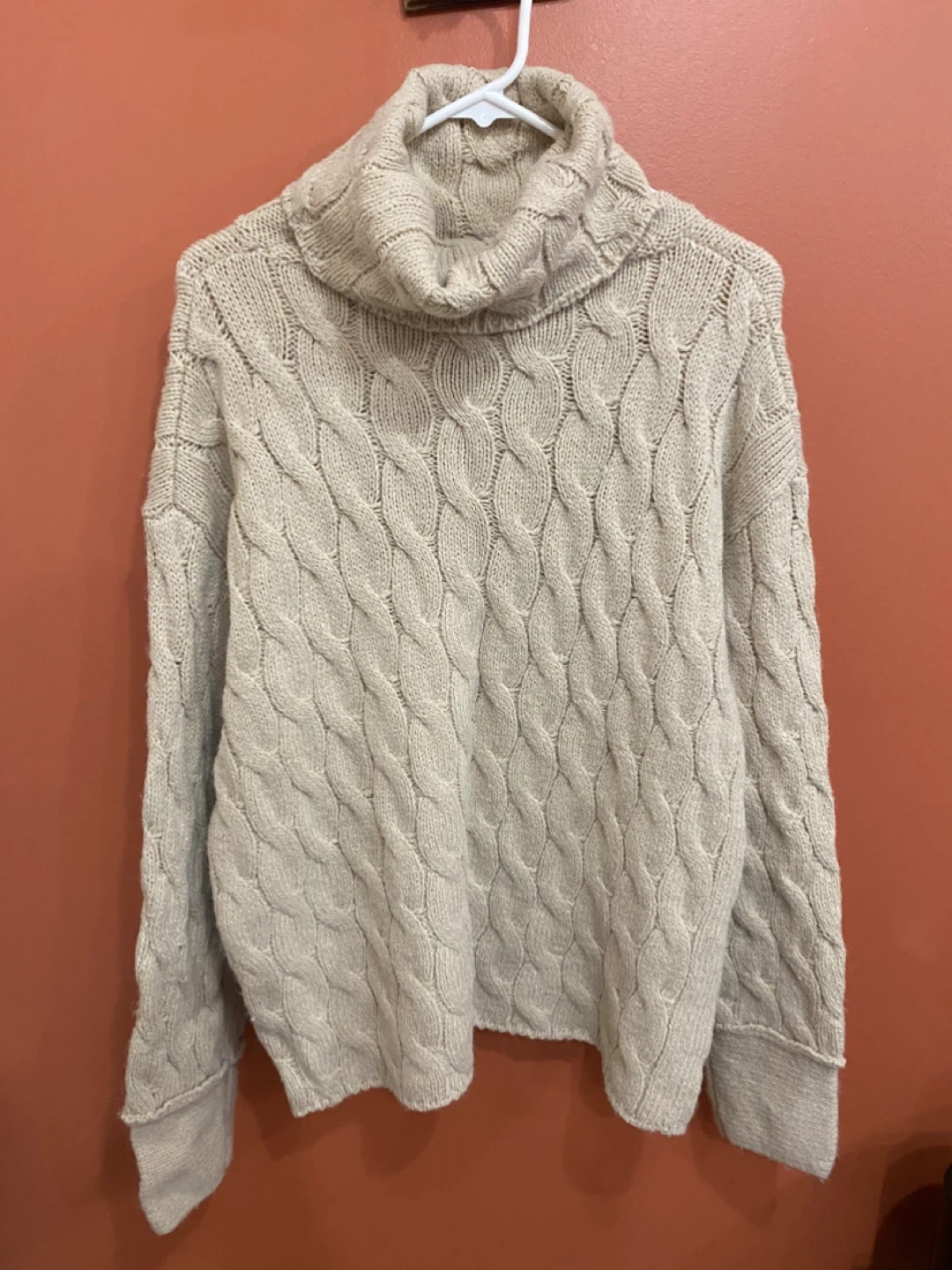 Zara Knit Turtleneck Sweater - Beige