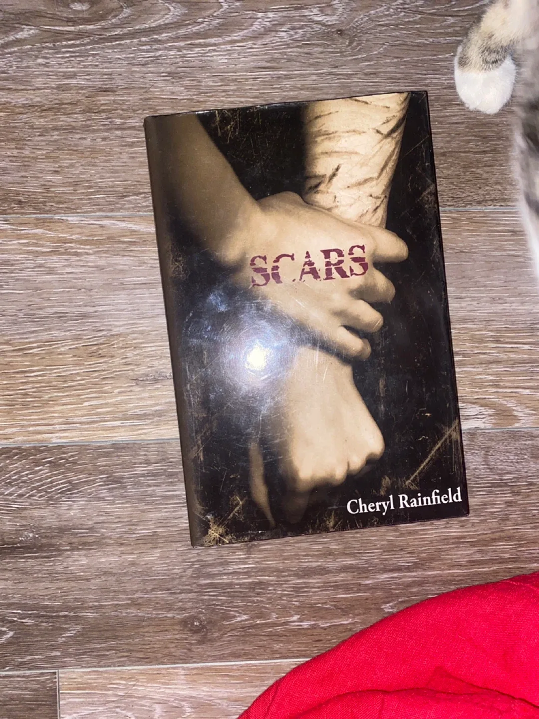 Scars book by Cheryl Rainfield thumbnail