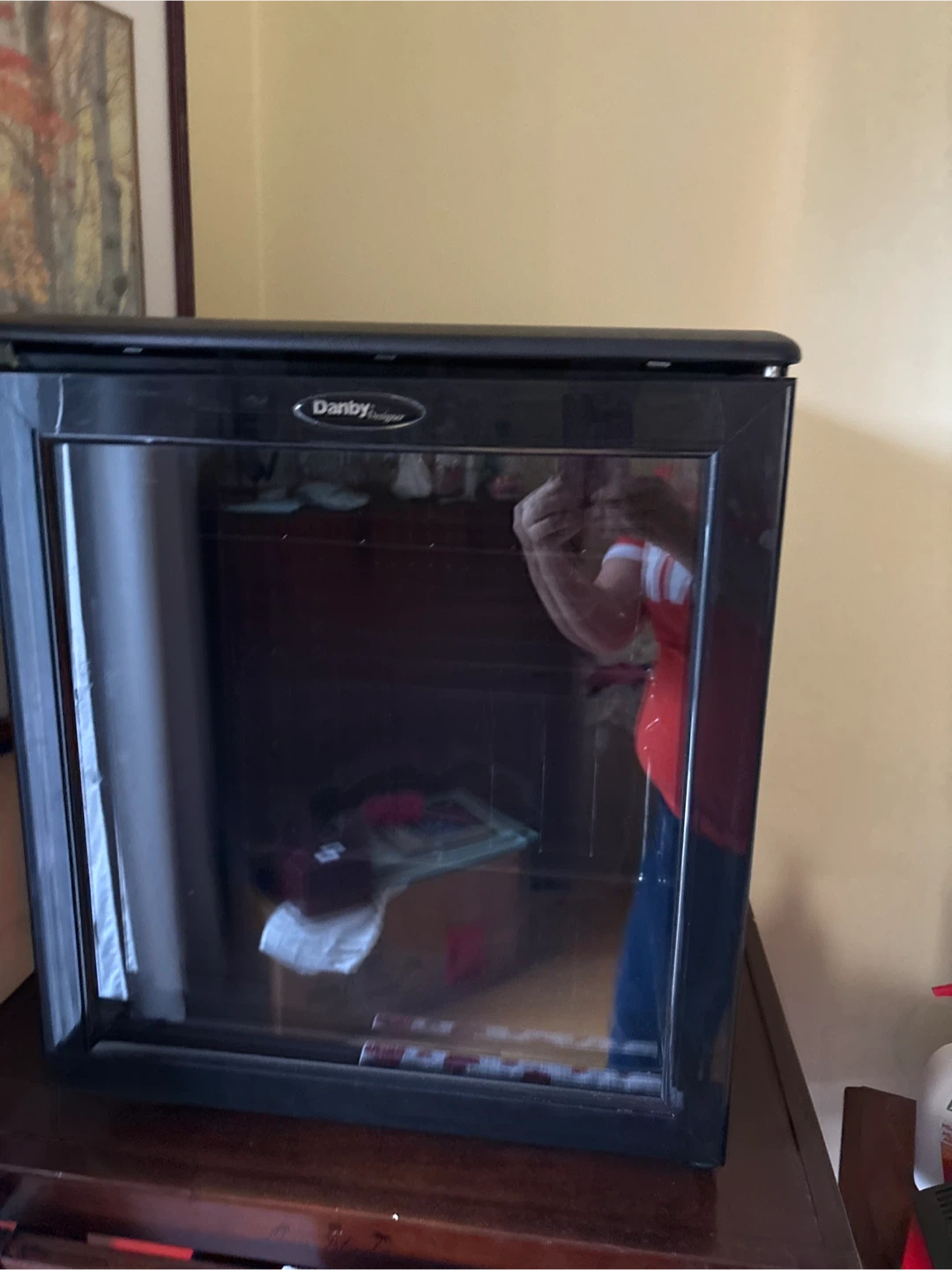 Danby Designer Mini Fridge