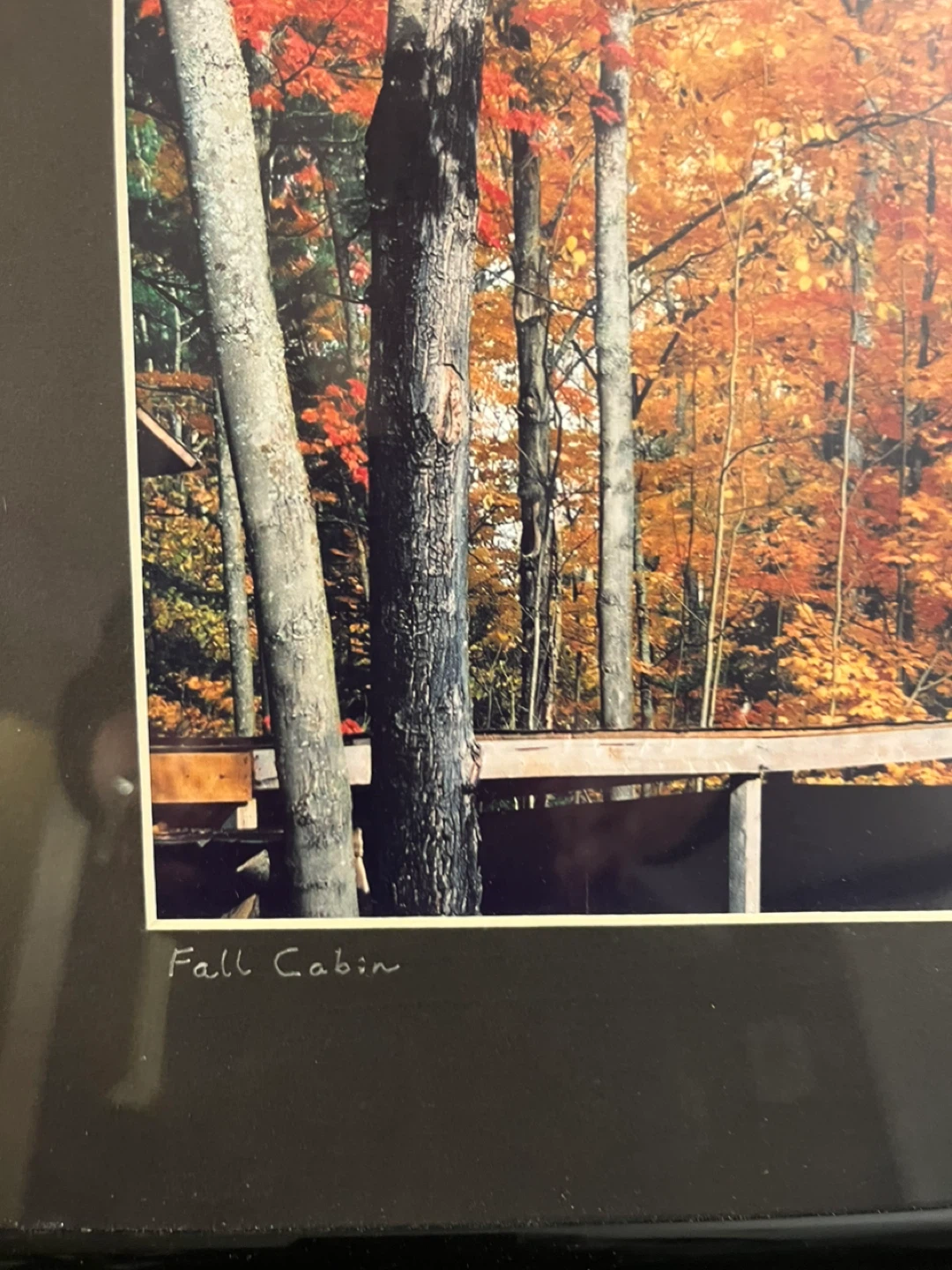Framed Signed Pictures - photo 2