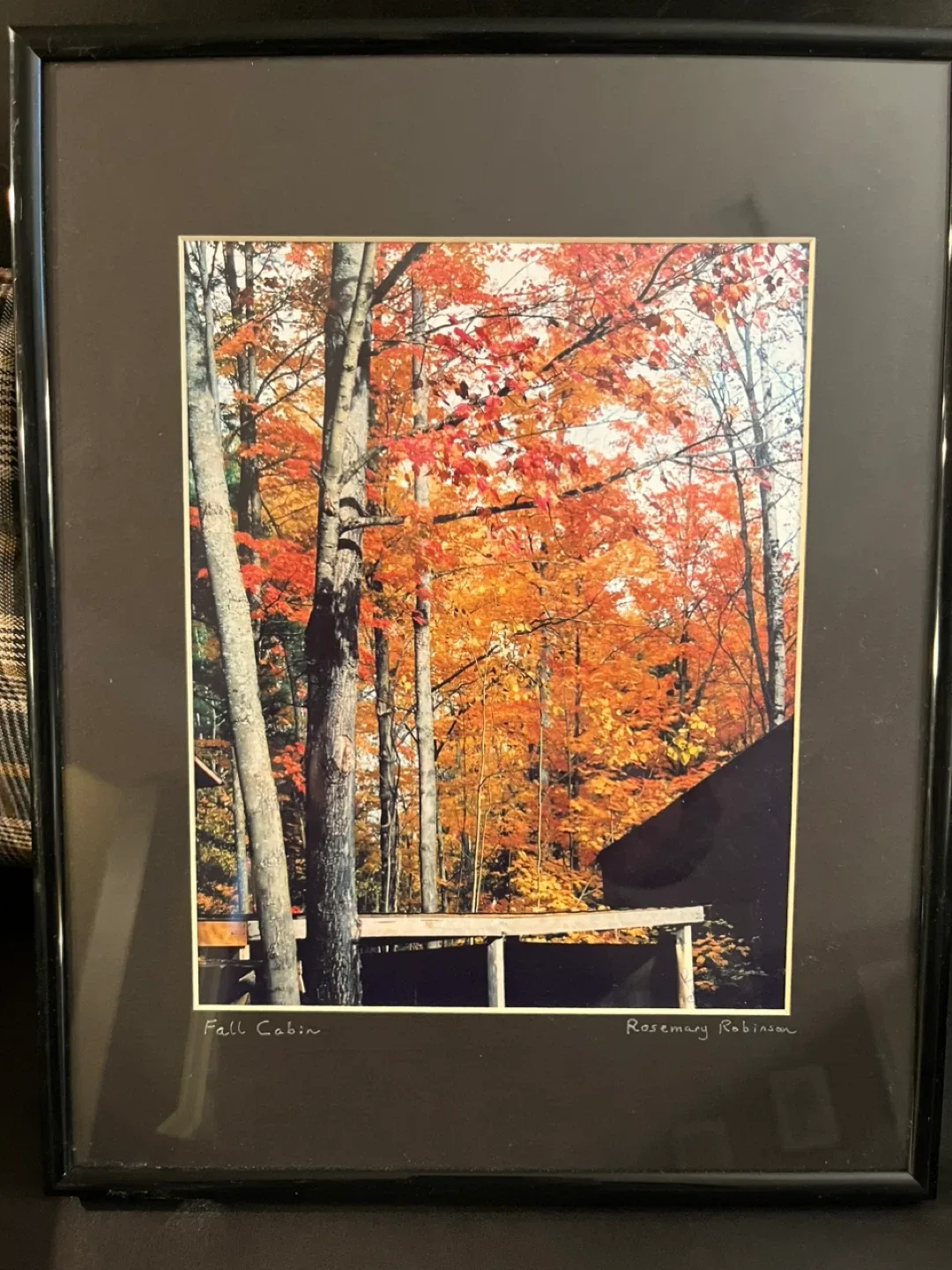 Framed Signed Pictures