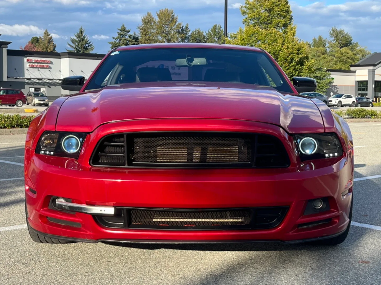 2013 Ford Mustang image indicator(8)