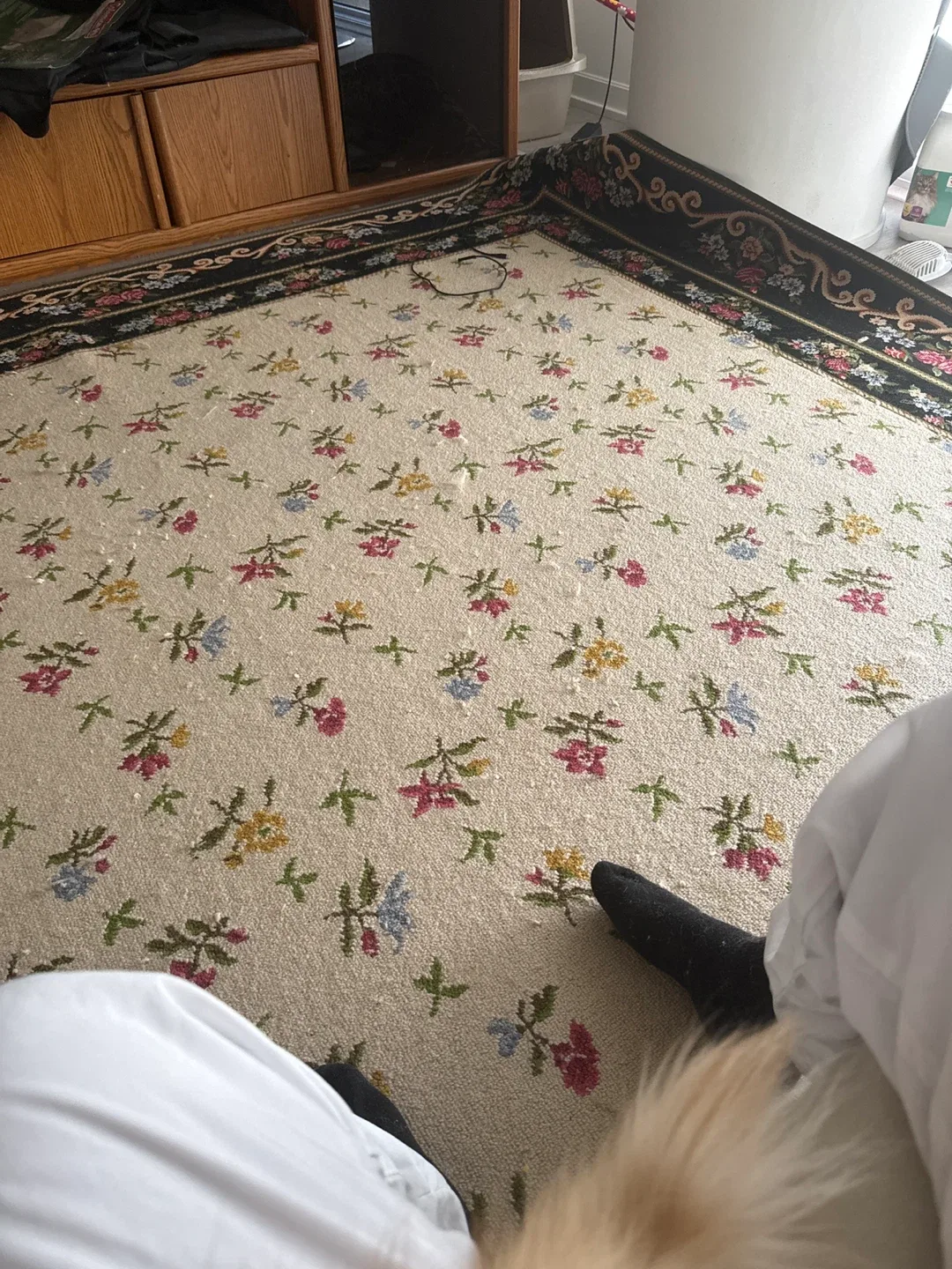 Floral Patterned Area Rug