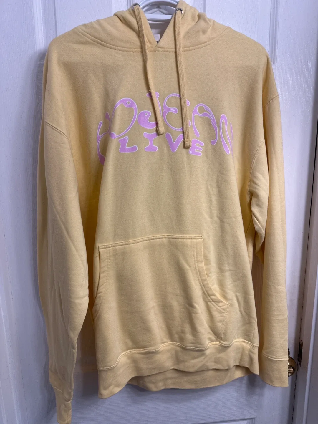 Hojean Reach Inside Tour Hoodie