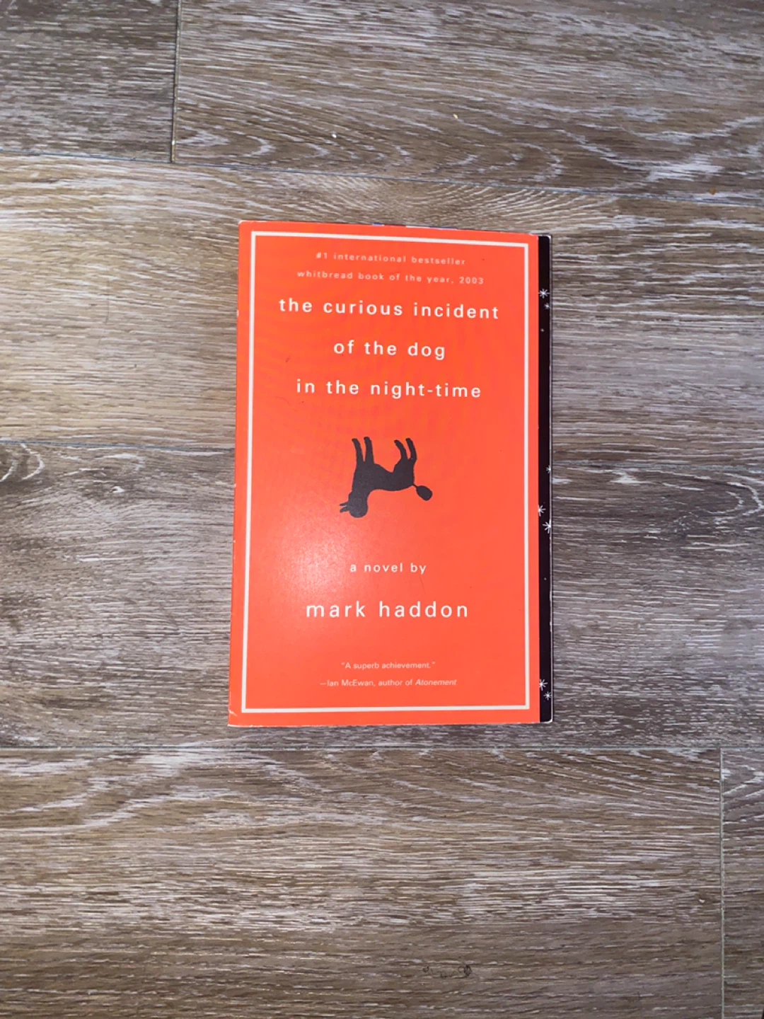 The Curious Incident of the Dog in the Night-Time by Mark Haddon
