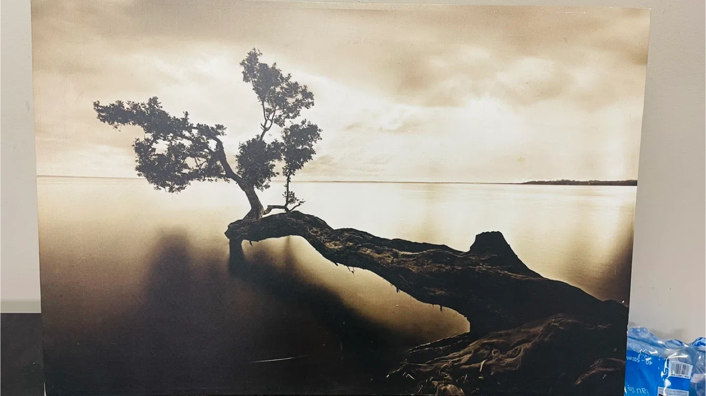 Painting image indicator(2)