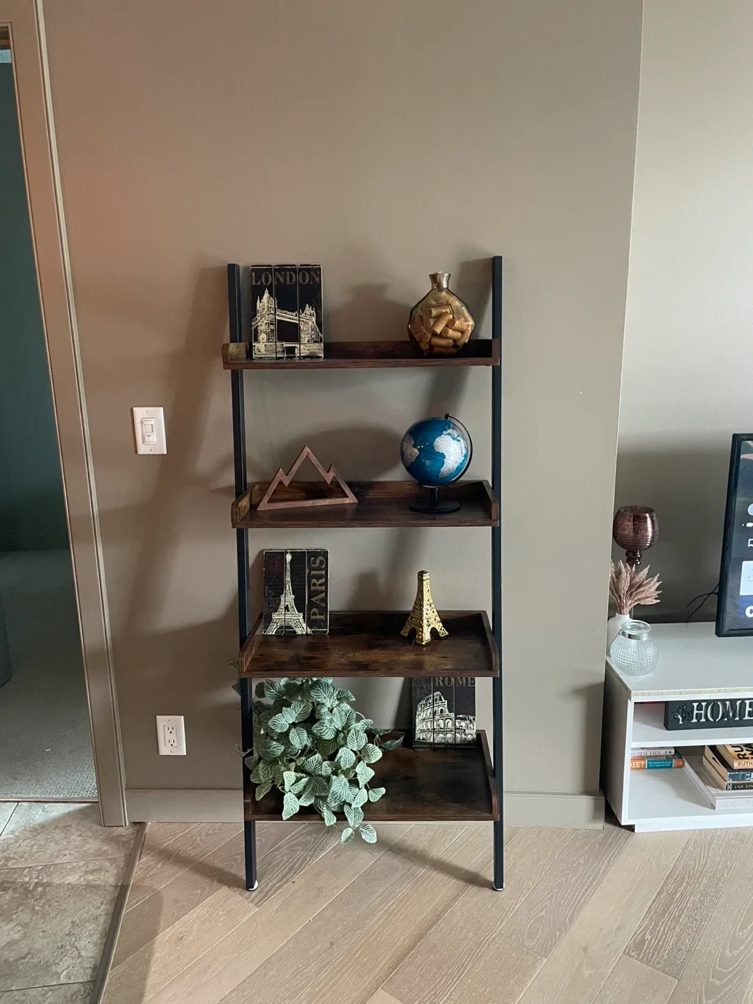 Ladder Shelf