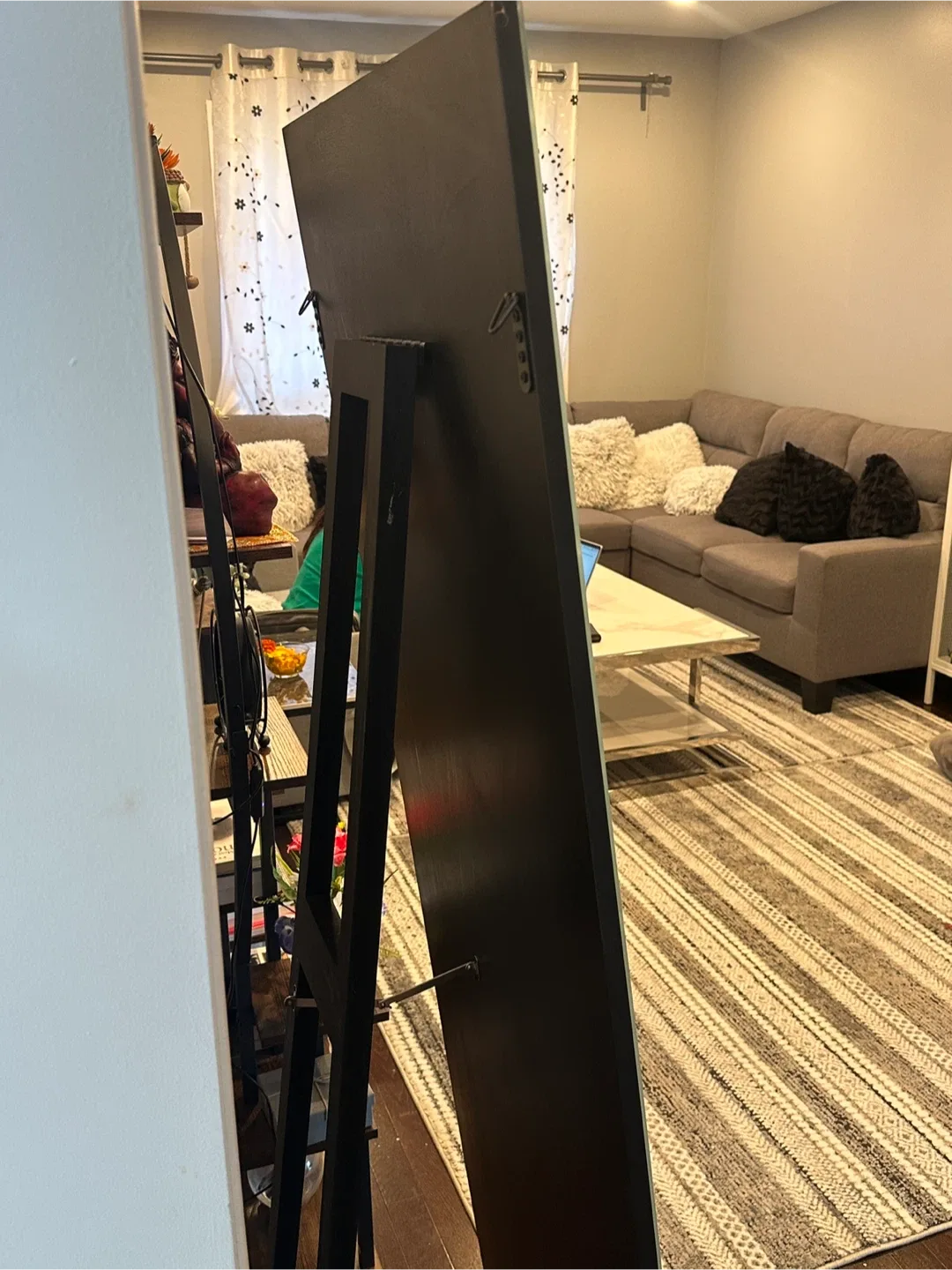 Full-Length Mirror image indicator(2)