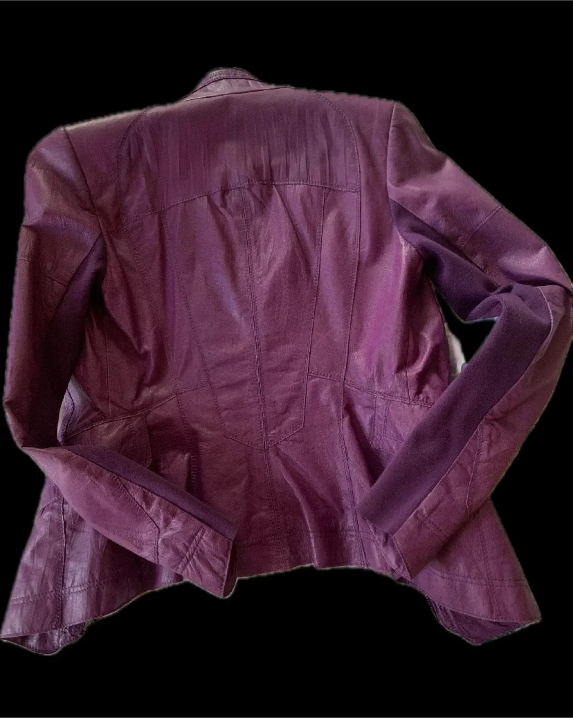 Pending Danier Leather Jacket, Purple image indicator(2)