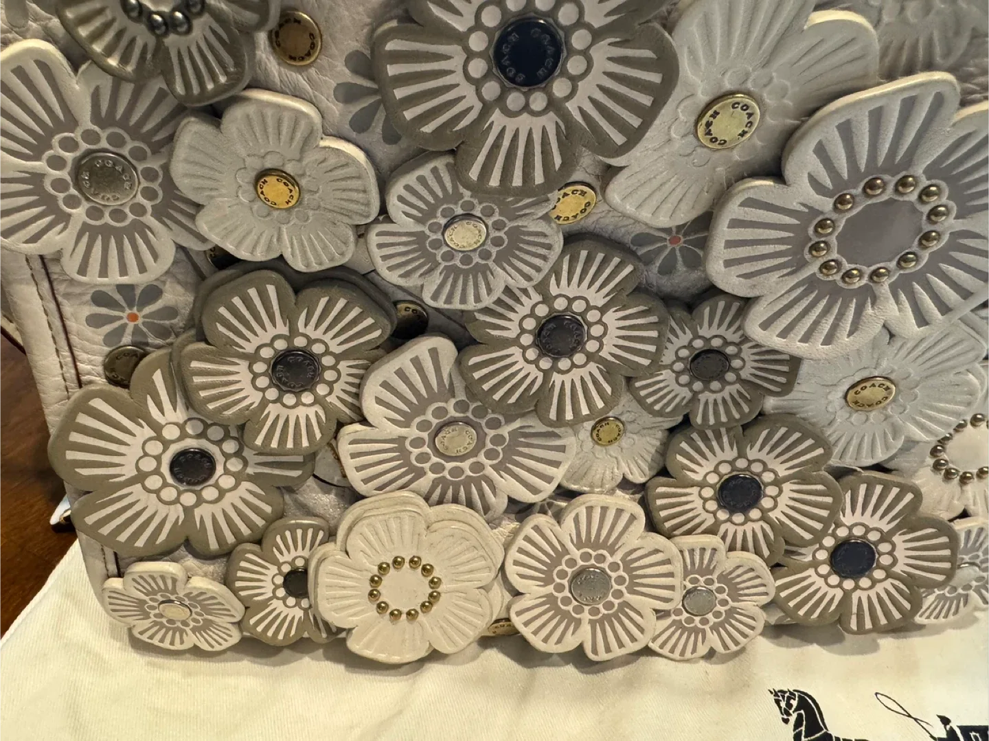 Coach Floral Appliqué Leather Handbag image indicator(2)