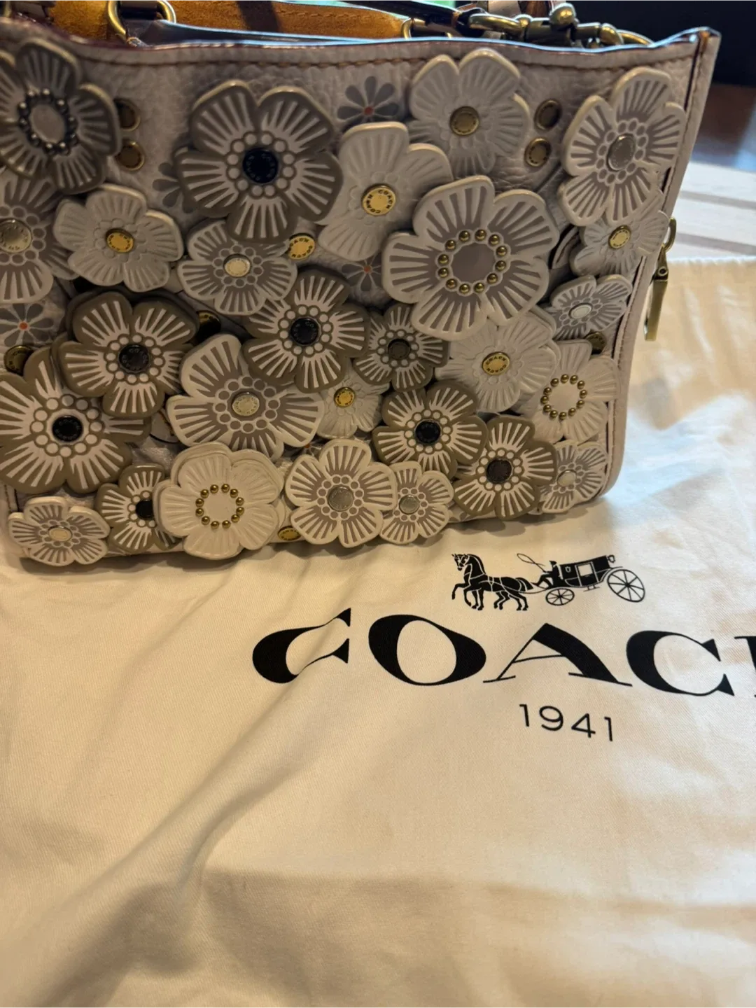 Coach Floral Appliqué Leather Handbag