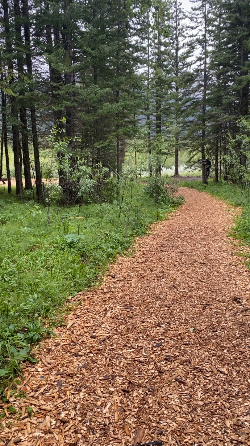 Trade for Craft stuff (tshirt press, Cricut etc..) thumbnail