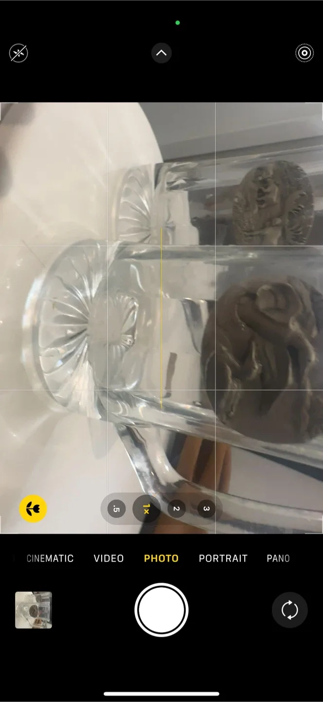 Vintage x 3 Glass Beer Mugs with Wildlife Emblems - Set of 2 image indicator(4)