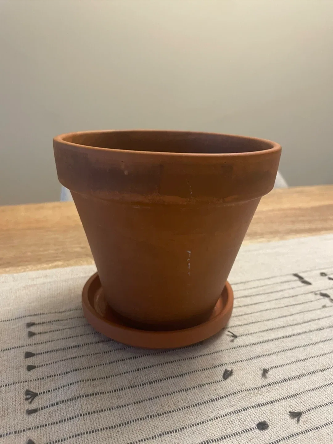 Terracotta Plant Pot with Saucer
