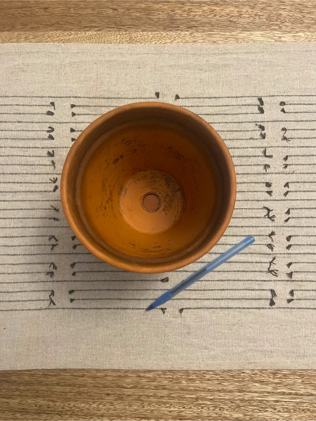 Terracotta Plant Pot with Saucer image indicator(4)