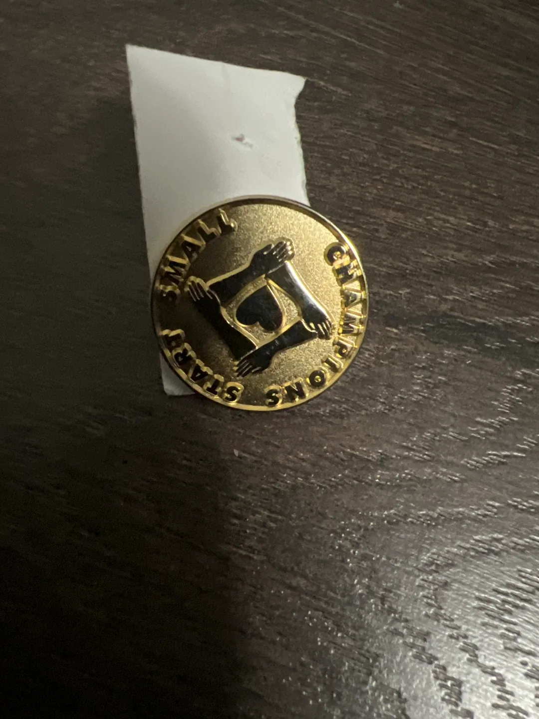 Small Stars Champions Pin