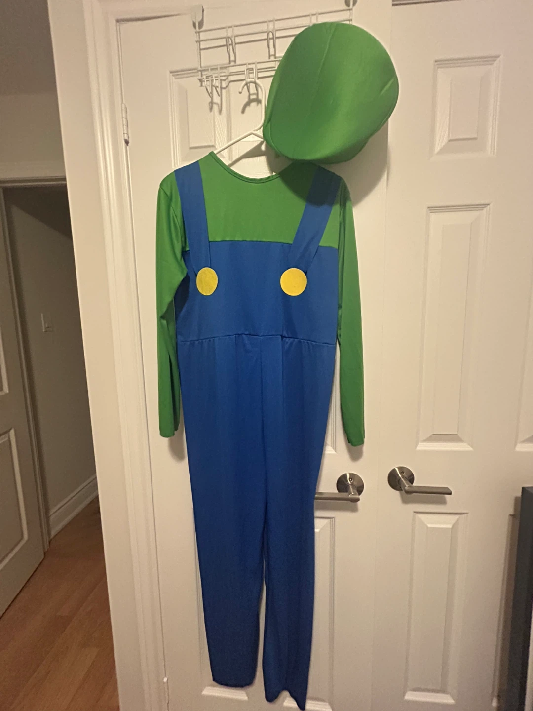 Luigi Male Costume