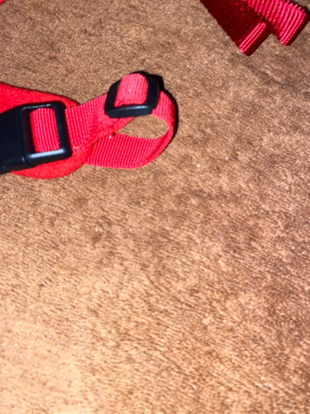 NEW Zeus Nylon Leash Medium & Voyager Dog Harness (M) image indicator(5)