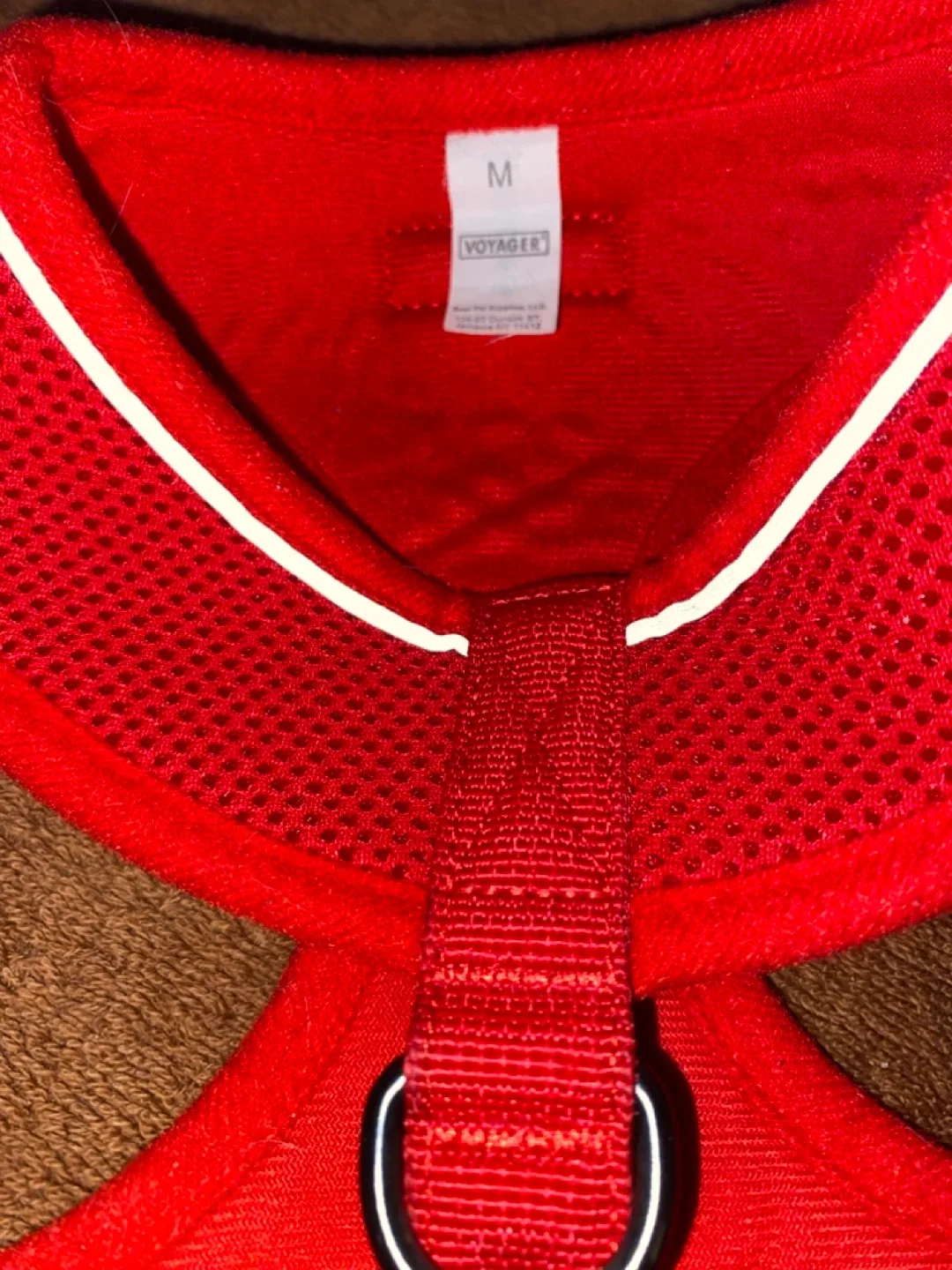 NEW Zeus Nylon Leash Medium & Voyager Dog Harness (M) image indicator(7)