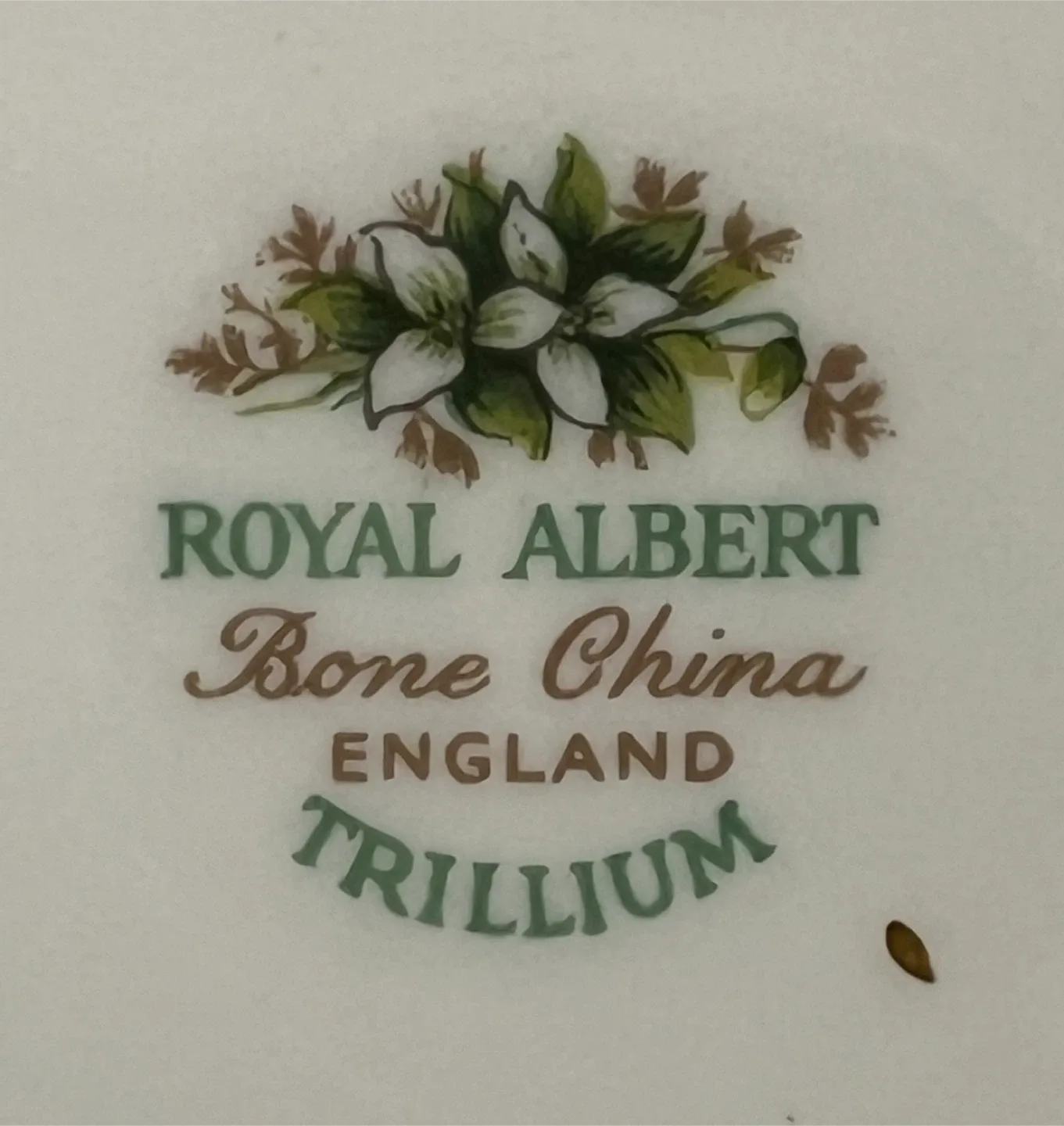 Royal Albert Trillium Bone China Dinnerware Set image indicator(3)