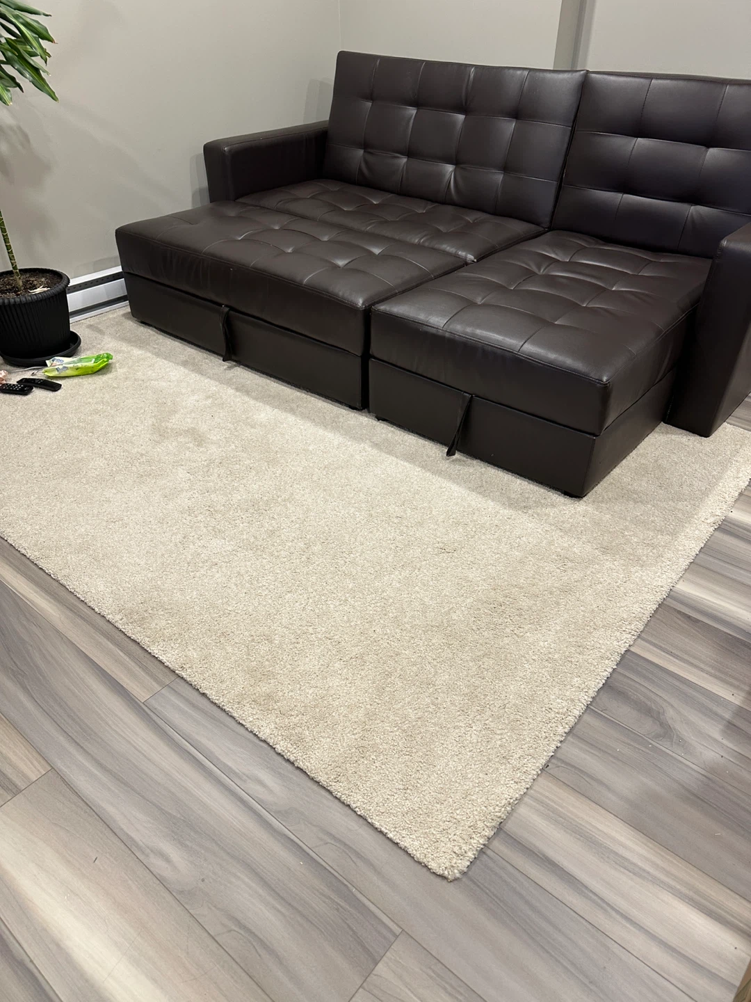 Beige Carpet
