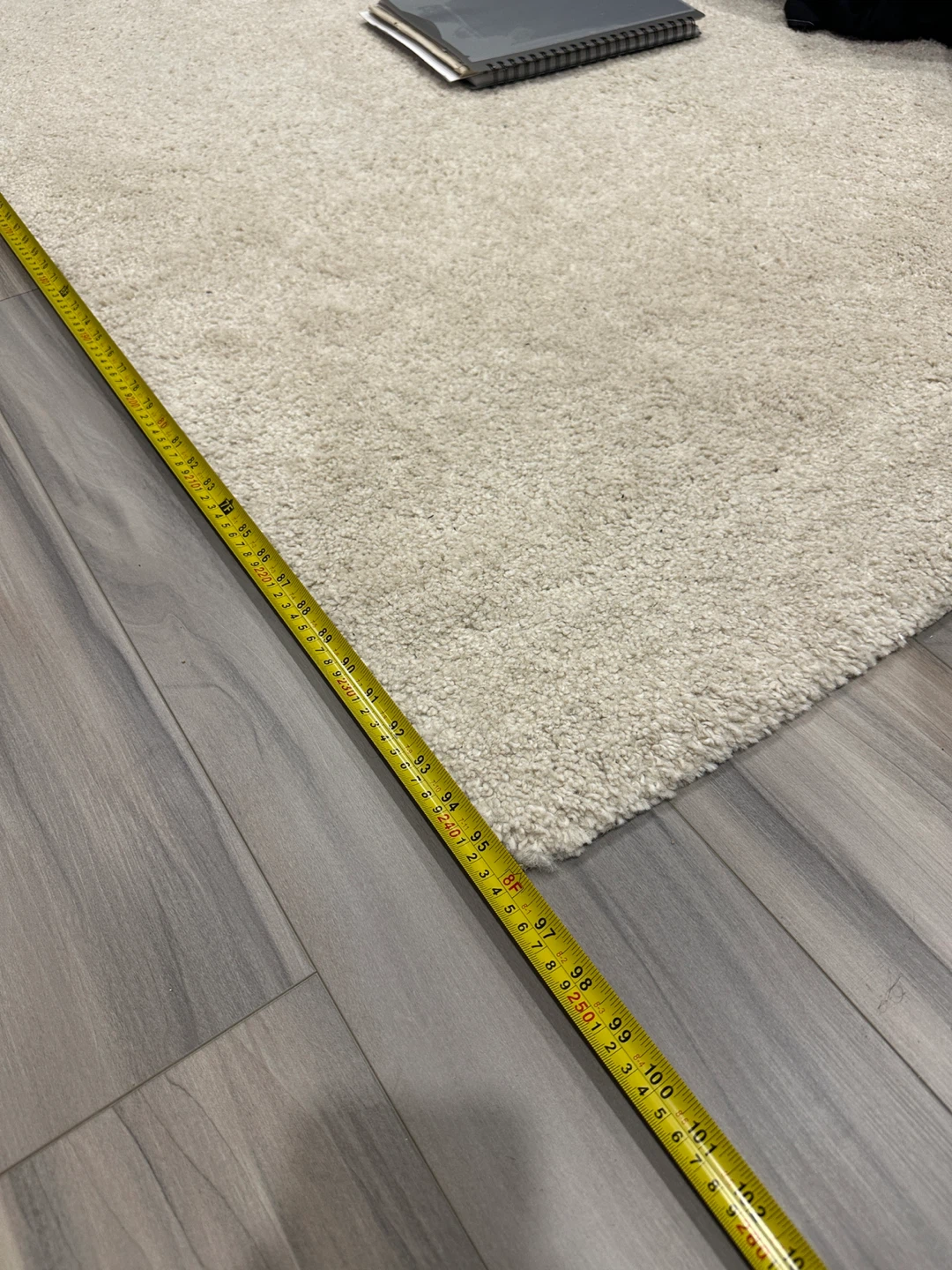 Beige Carpet - photo 3