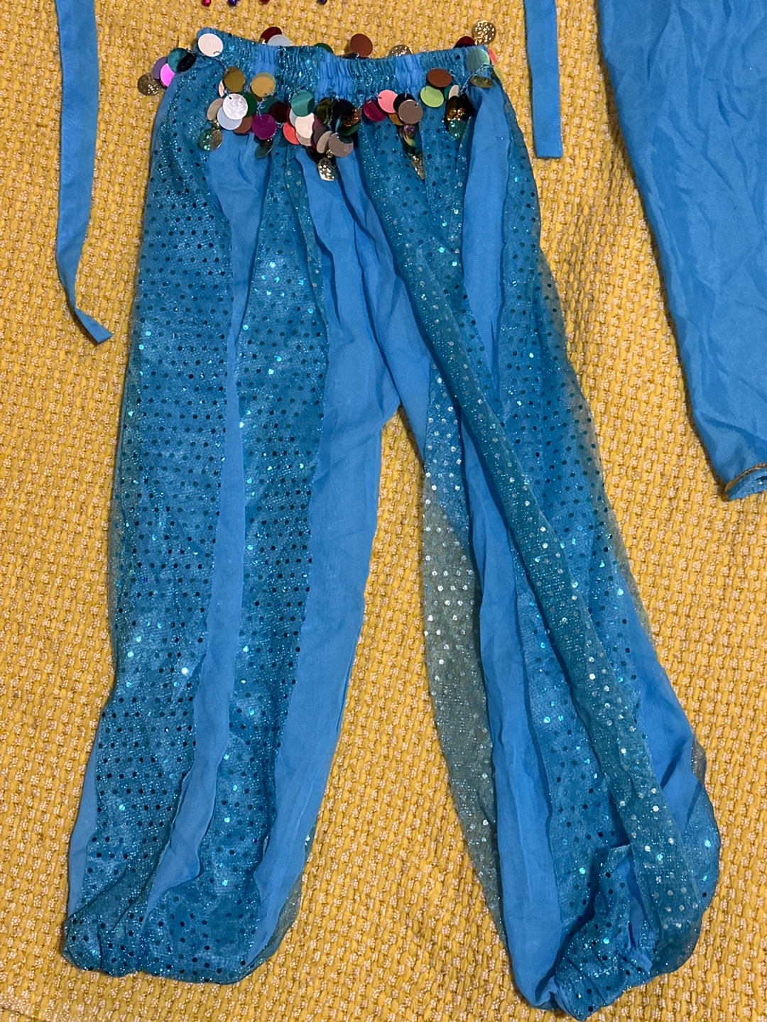 Blue Belly Dancing Costume