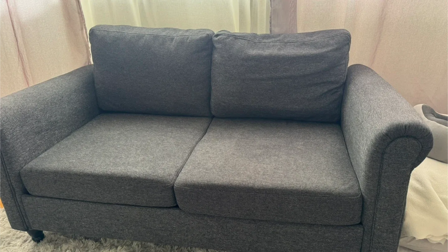 Grey Loveseat Sofa