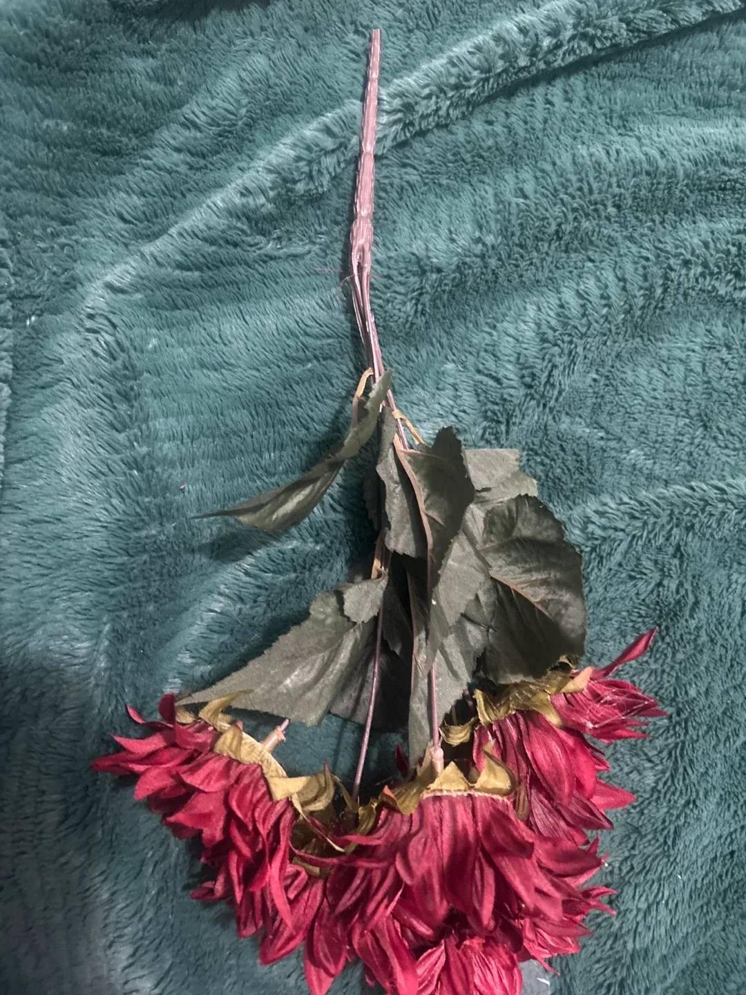 Free Bouquet image indicator(2)